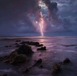 Meet your Posher, Curtis